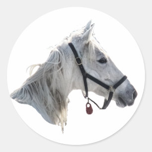 Adesivo Cavalo Branco