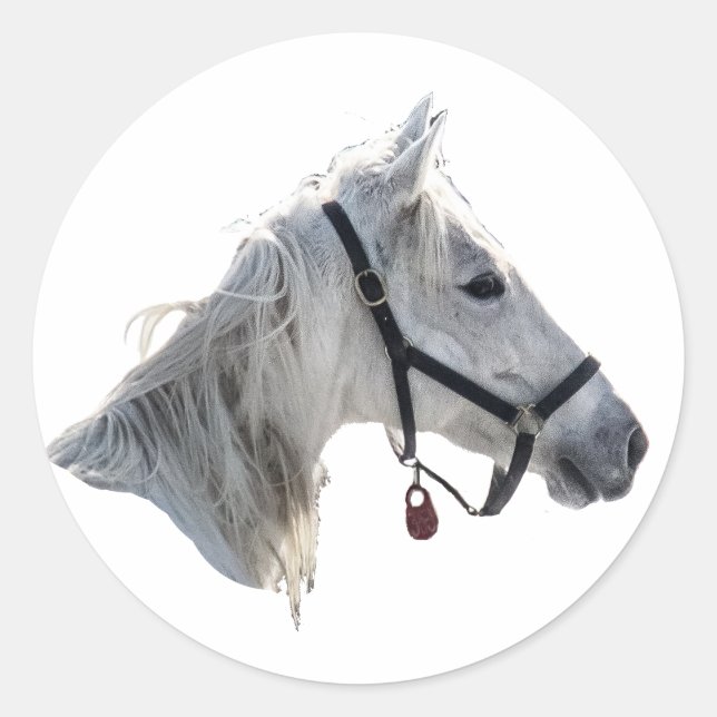 Adesivo Cavalo Branco (Frente)