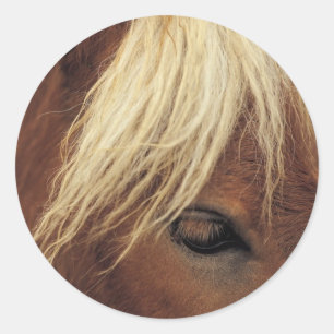 Adesivo Cavalo com Mané Branco