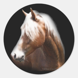 Adesivo Cavalo da fantasia no preto