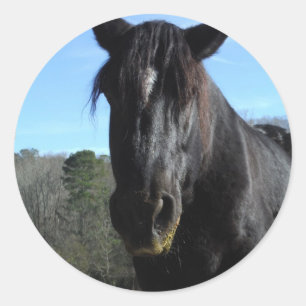 Adesivo Cavalo de esboço preto salvado