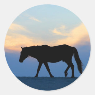 Adesivo Cavalo de Praia Sunset