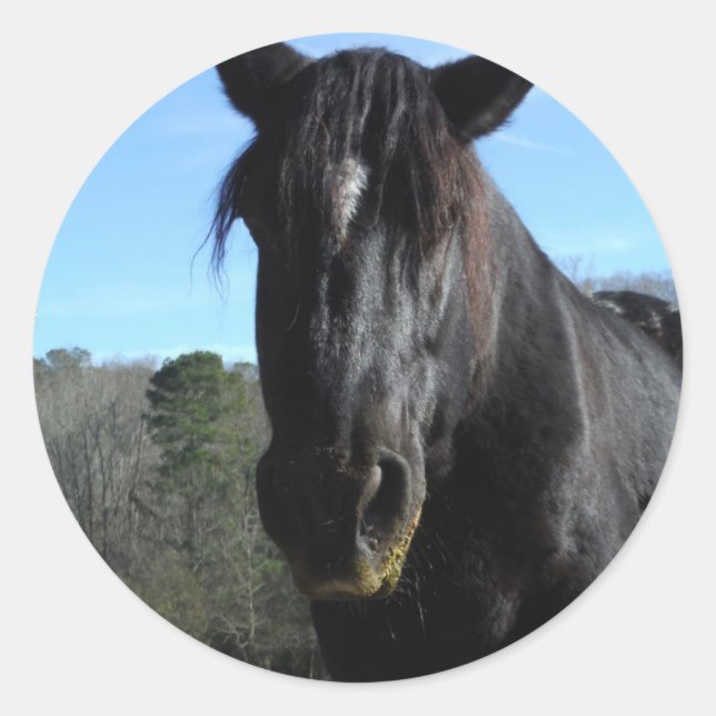 Adesivo Cavalo de Rascunho Negro Resgatado (Frente)