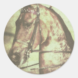Adesivo Cavalo de sela