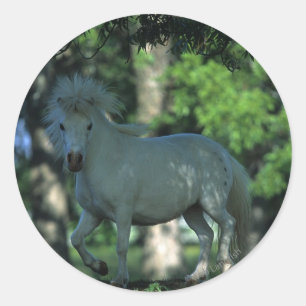 Adesivo Cavalo diminuto que está nas árvores