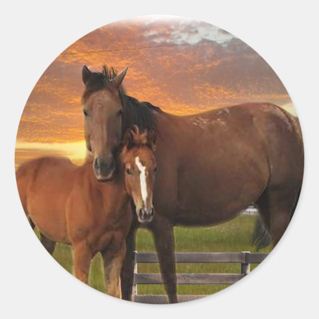 Adesivo Cavalo e pônei (Frente)