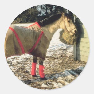 Adesivo Cavalo em branco no inverno