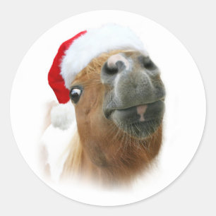 Adesivo Cavalo engraçado do Natal