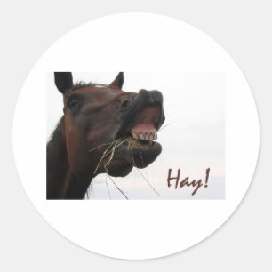 Adesivo Cavalo engraçado: Feno!