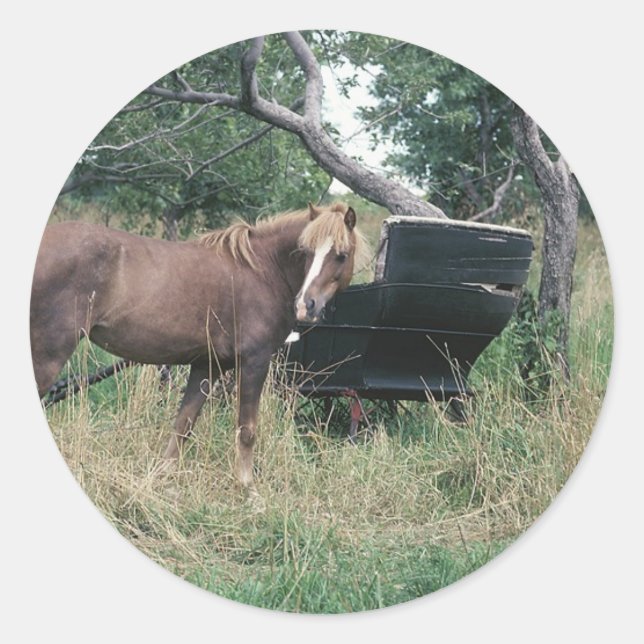 Adesivo Cavalo Fazendo Check-Out De Buggy Antigo (Frente)