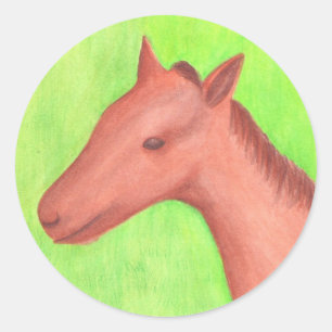 Adesivo Cavalo jovem, pônei, em vinhetas aquáticas