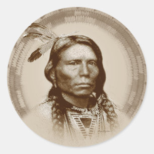 Adesivo Cavalo Louco