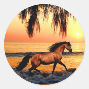 Adesivo Cavalo na praia no por do sol