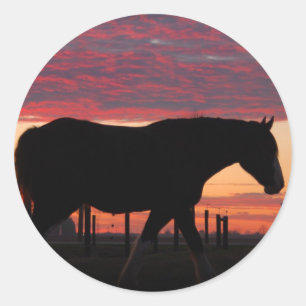 Adesivo Cavalo no por do sol