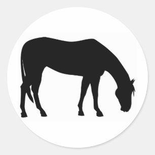 Adesivo Cavalo que pasta
