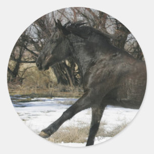 Adesivo Cavalo selvagem do mustang na neve 2