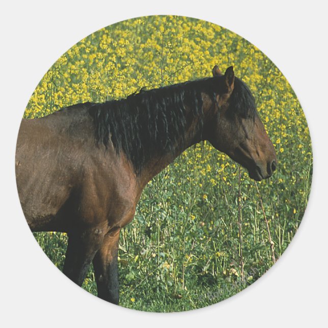 Adesivo Cavalo Selvagem Mustang em Flores (Frente)
