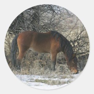 Adesivo Cavalo Selvagem Mustang na Neve 1