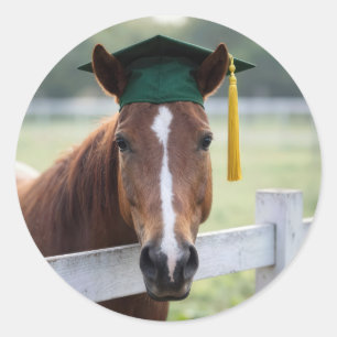 Adesivo Cavalo Vestindo uma Boina de Graduação Verde