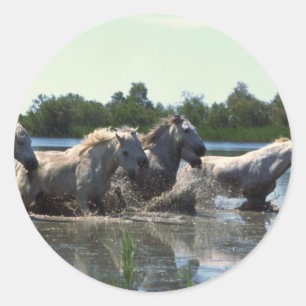 Adesivo Cavalos atravessando água