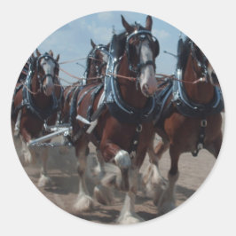 Adesivo Cavalos Clydesdale