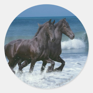 Adesivo Cavalos da fantasia: Frisões & mar
