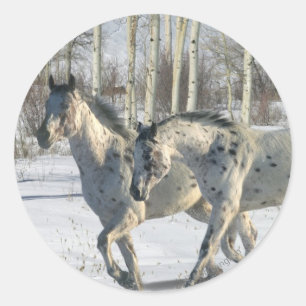 Adesivo Cavalos da fantasia: País das maravilhas do