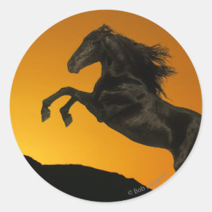 Adesivo Cavalos da fantasia: Por do sol da montanha