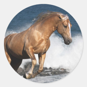 Adesivo Cavalos da fantasia: Respingo do verão