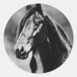 Adesivo Cavalos de Apache
