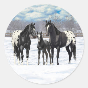 Adesivo Cavalos de Appaloosa Pretos Na Neve