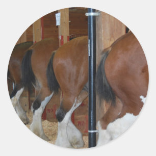 Adesivo Cavalos de Clydesdale