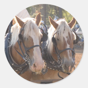Adesivo Cavalos de esboço
