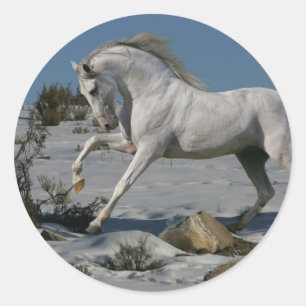 Adesivo Cavalos de Fantasia: Rei da Neve