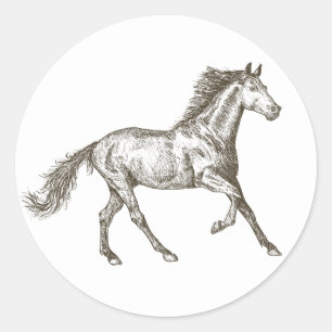 Adesivo Cavalos Ocidentais Equestre País Cavalo Rústico