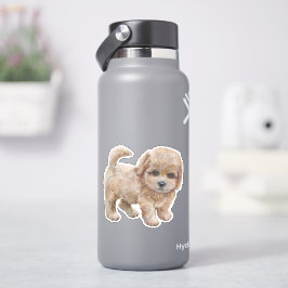 Adesivo Cavapoo Puppy Cartoon Dog Sticker