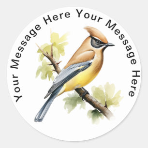 Adesivo Cedar Waxwing