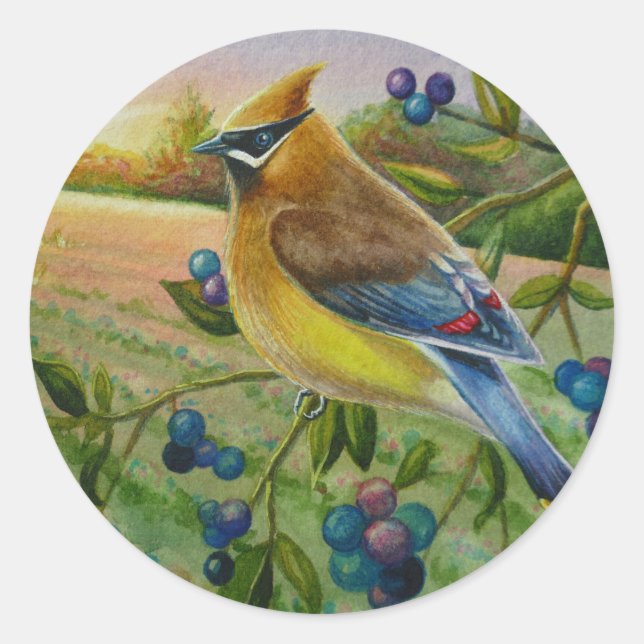 Adesivo Cedar Waxwing Bird Bluberry Fazenda Watercolor Art (Frente)