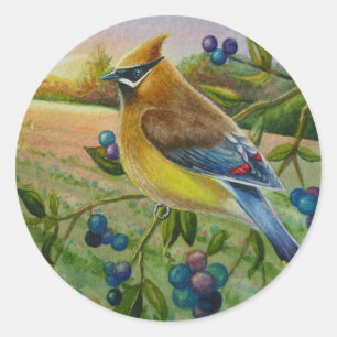 Adesivo Cedar Waxwing Bird Blueberry Fazenda