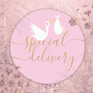 Adesivo Cegonha de Entrega Especial e Bebê Rosa