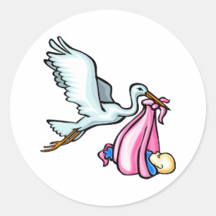 Adesivo Cegonha de Stacy