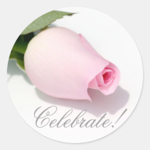 Adesivo Celebre!Pau Rosa Rosa Rosa Rosa