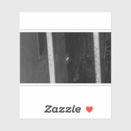 Adesivo Cellar Spider