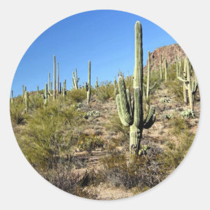 Adesivo Cena 03 do deserto de Sonoran