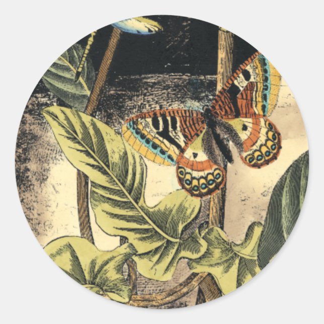 Adesivo Cena da Natureza Escura pelo Vision Studio (Frente)