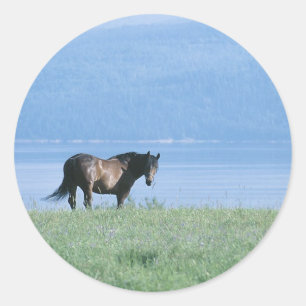 Adesivo Cena de Cavalo, Lago e Montanha