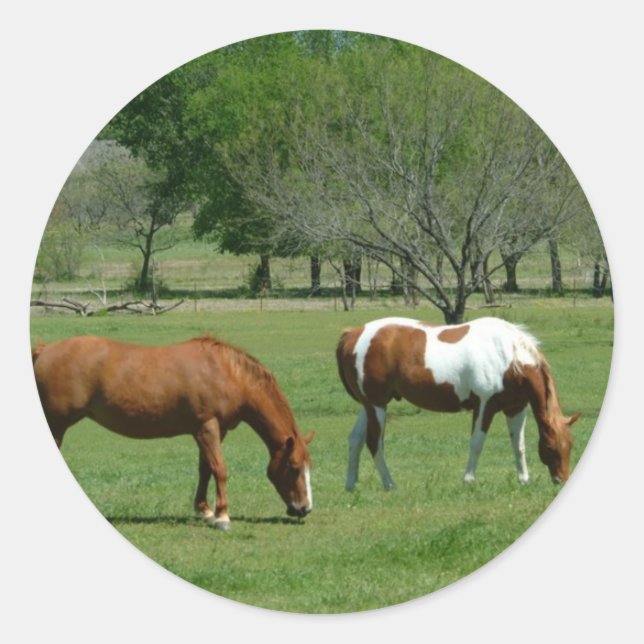 Adesivo Cena de Cavalos de Luz (Frente)
