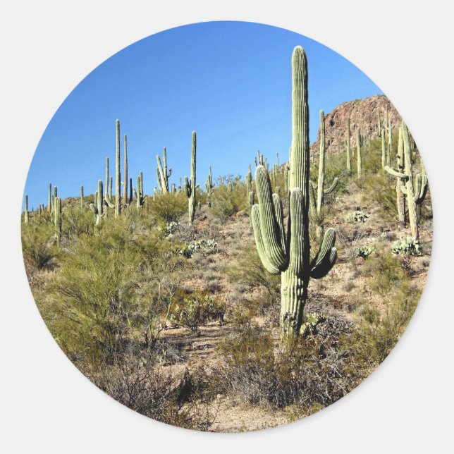 Adesivo Cena do Deserto de Sonoran 03 (Frente)