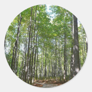 Adesivo Centennial Wooded Path II Ellicott City Maryland