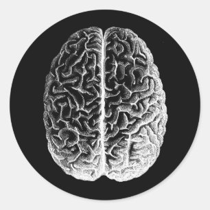 Adesivo Cérebros!